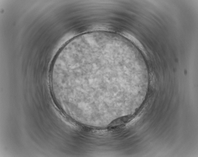 X0000077331043200611171802