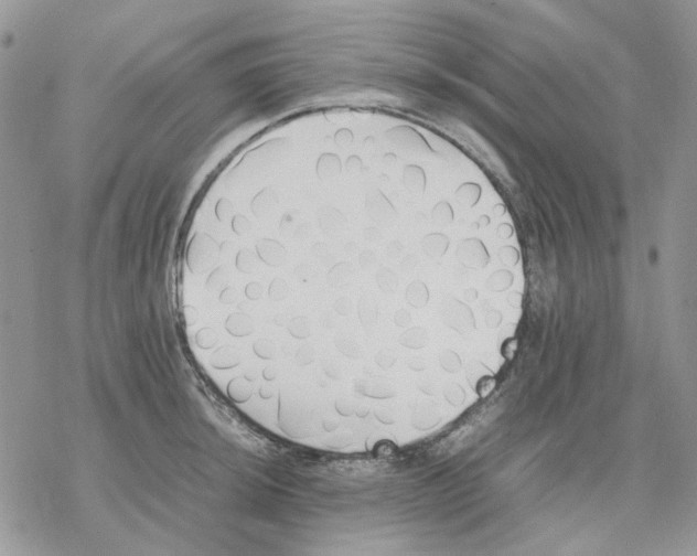 X0000077331044200611171802