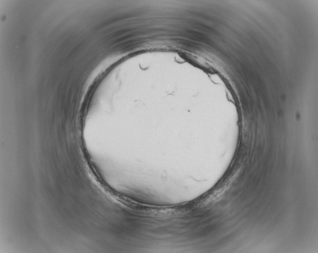 X0000077331045200611171802