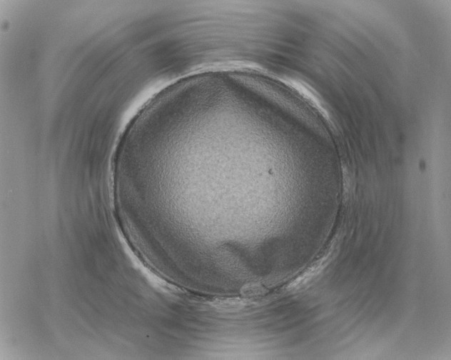 X0000077331046200611171802