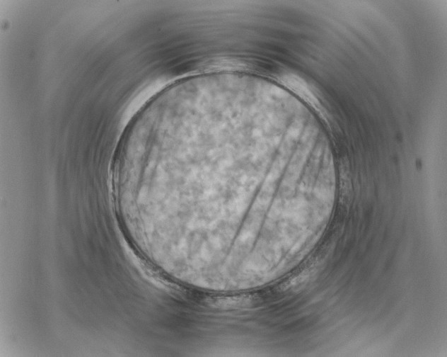 X0000077331047200611171802