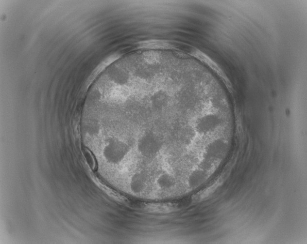 X0000077331049200611171802