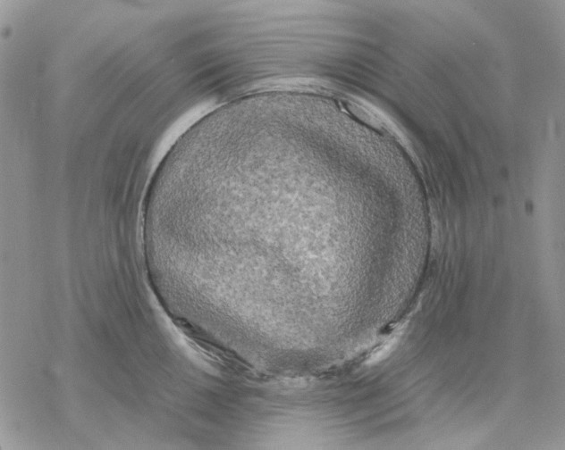 X0000077331050200611171802