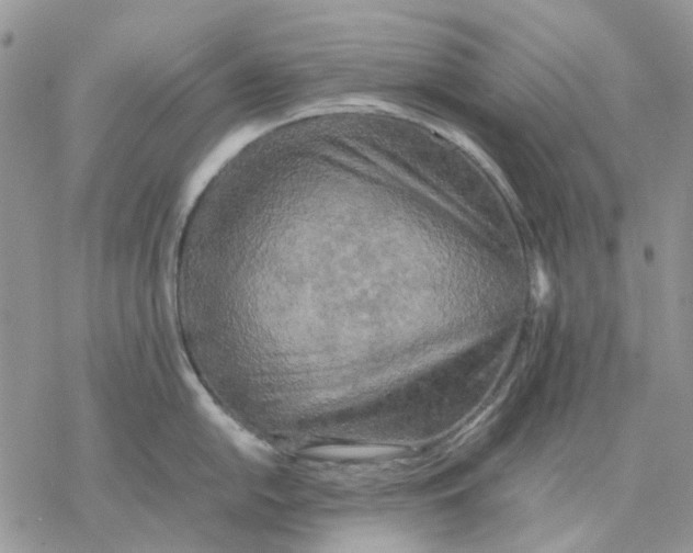 X0000077331054200611171802