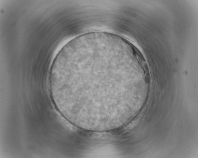 X0000077331056200611171803