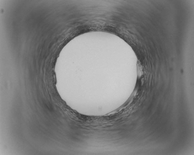 X0000077331057200611171802