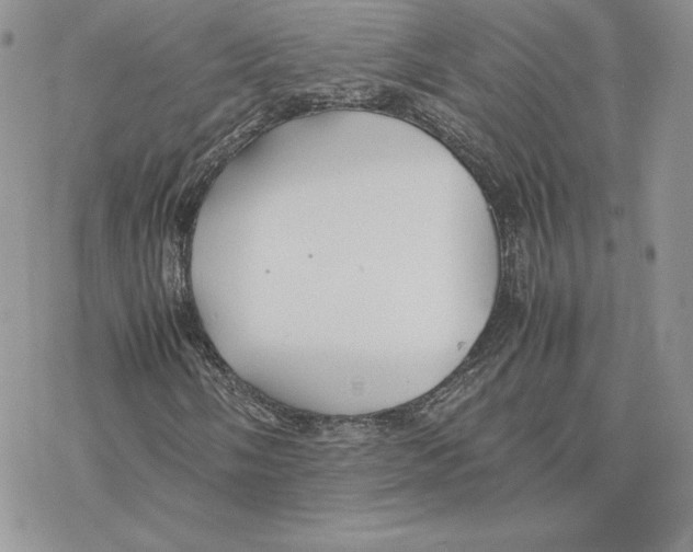 X0000077331058200611171802