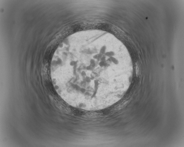 X0000077331059200611171802