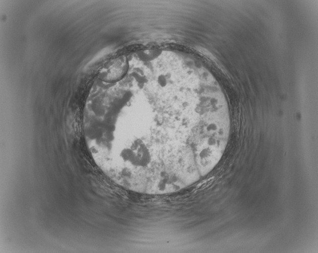 X0000077331063200611171802