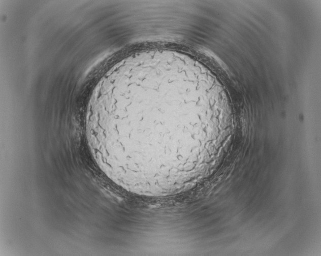 X0000077331064200611171802