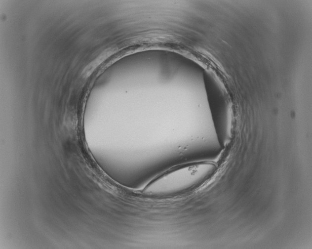 X0000077331065200611171802