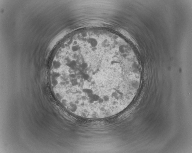 X0000077331067200611171802