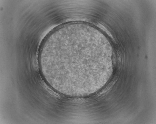 X0000077331068200611171802