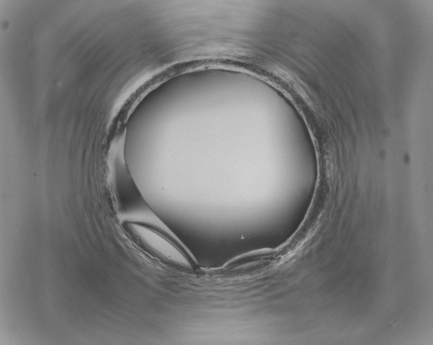 X0000077331069200611171802