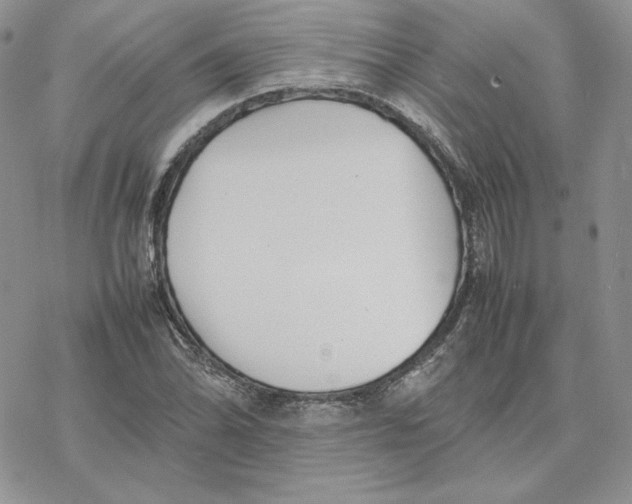 X0000077331070200611171802