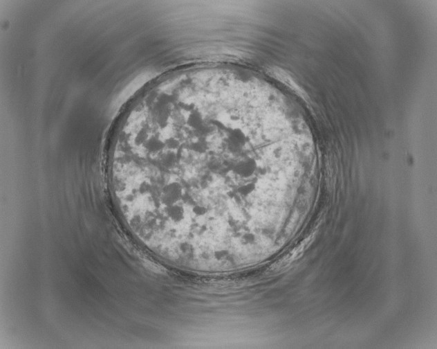 X0000077331071200611171802