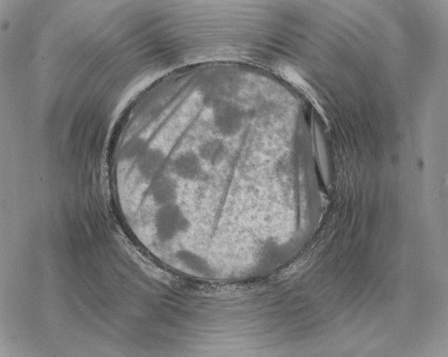 X0000077331072200611171801