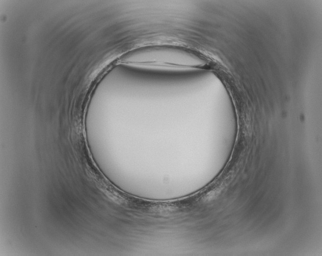 X0000077331073200611171801