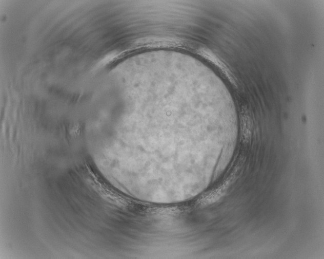 X0000077331074200611171801