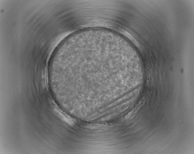 X0000077331076200611171801