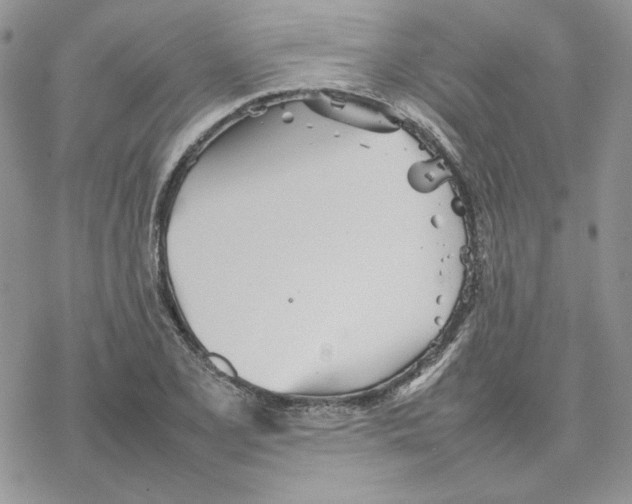 X0000077331077200611171801