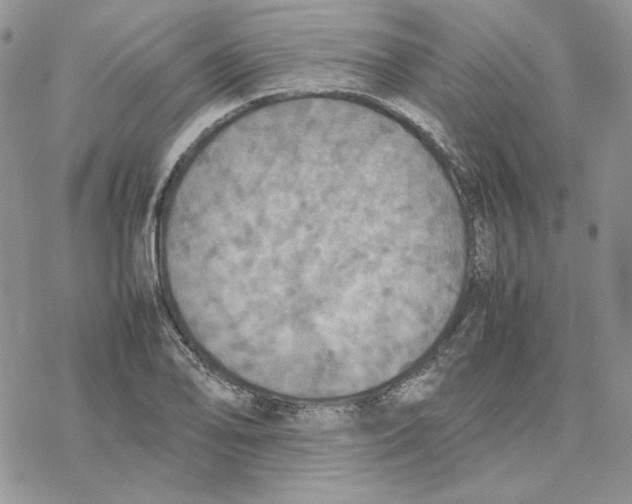 X0000077331078200611171801