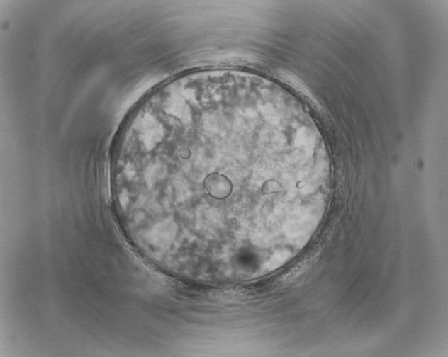 X0000077331079200611171801