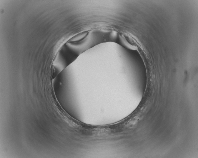 X0000077331081200611171801