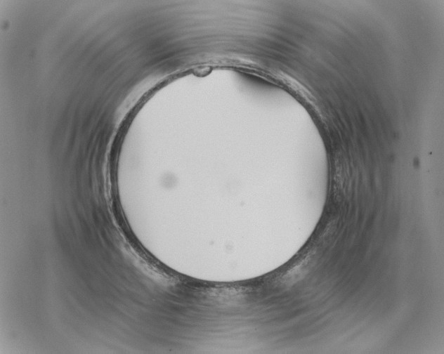 X0000077331082200611171801