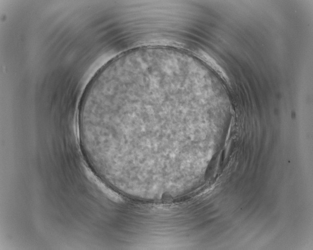 X0000077331084200611171801