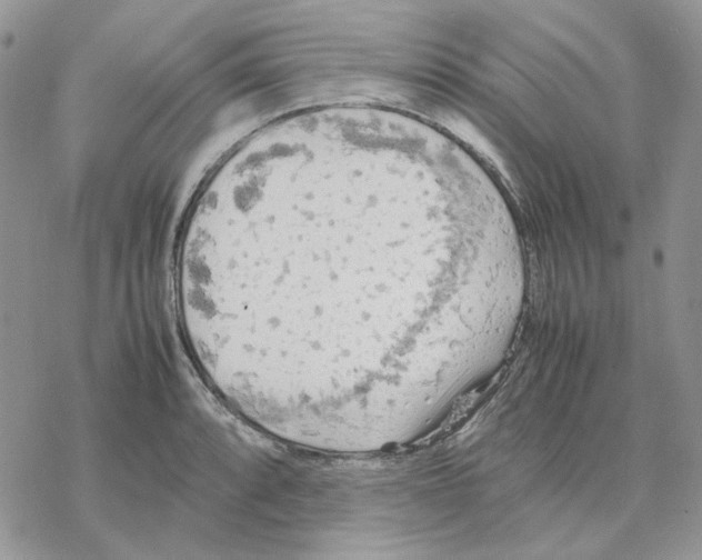 X0000077331088200611171801