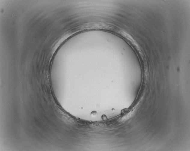 X0000077331089200611171801