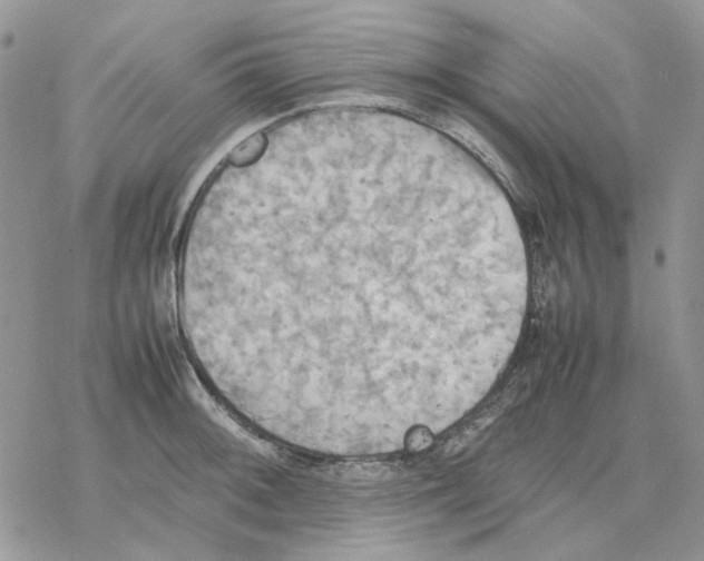 X0000077331092200611171801