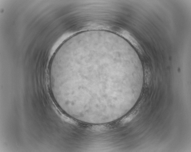 X0000077331094200611171801