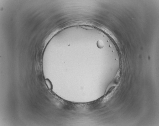 X0000077331097200611171801