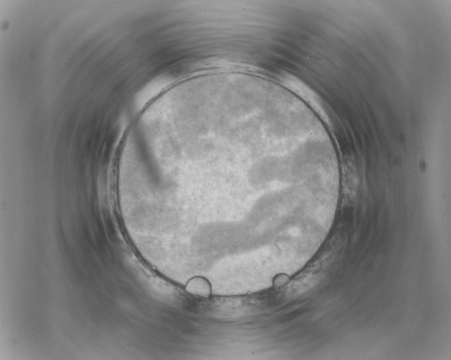 X0000077331098200611171801