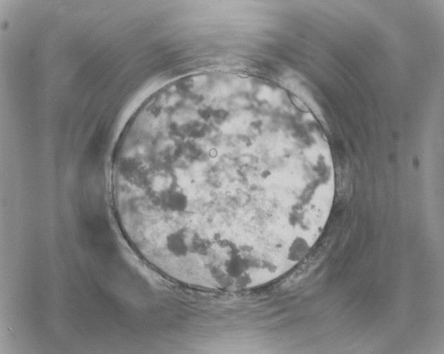 X0000077331099200611171801