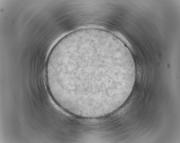 X0000077331100200611171801