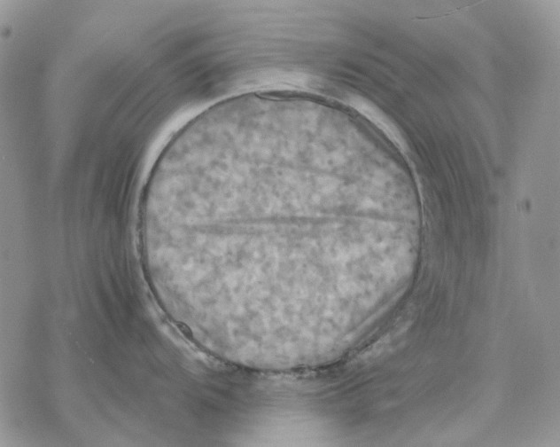 X0000077331104200611171801