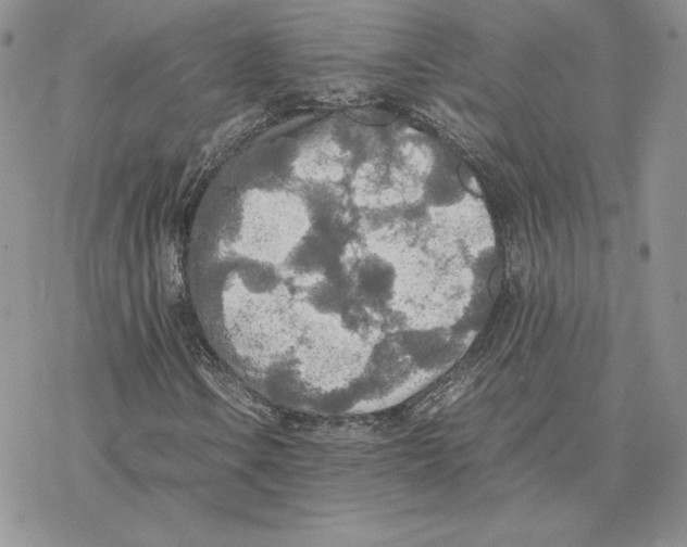 X0000077331106200611171800