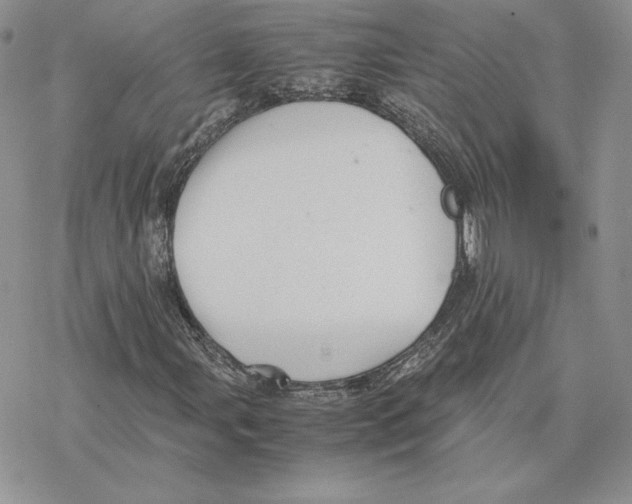 X0000077331107200611171800