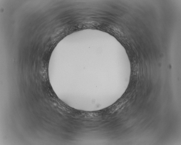 X0000077331109200611171800