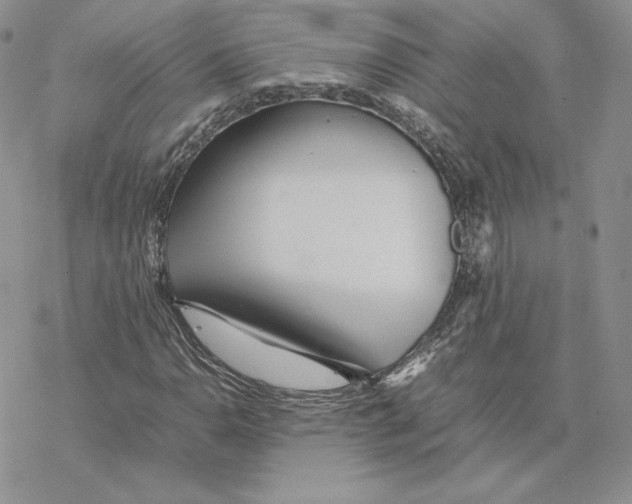 X0000077331110200611171800