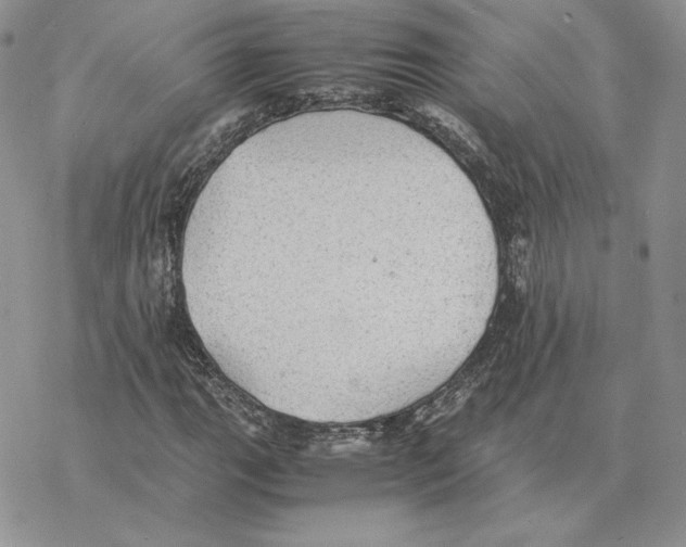 X0000077331111200611171800