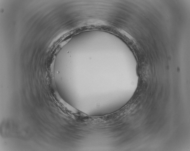 X0000077331112200611171800