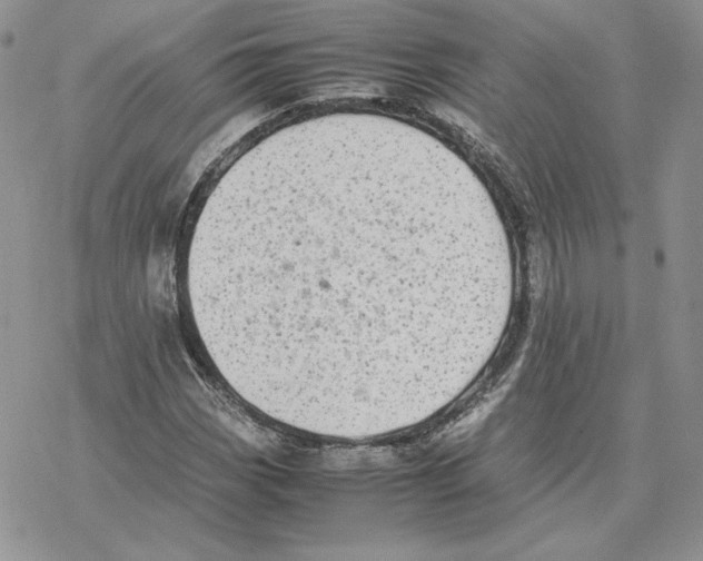 X0000077331113200611171800