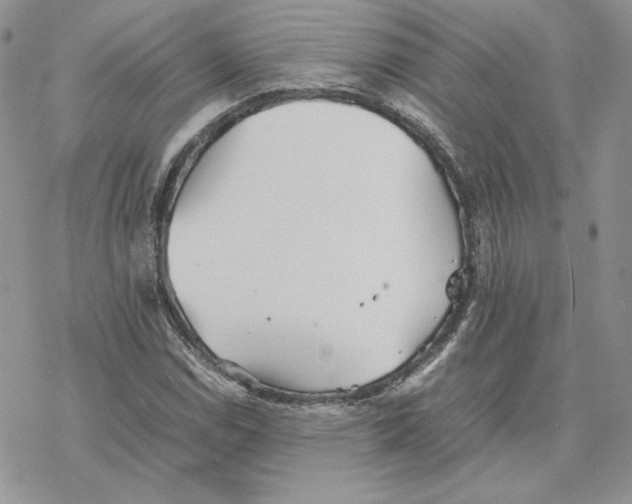 X0000077331114200611171800