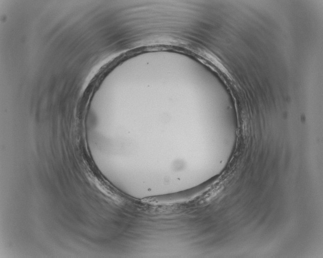 X0000077331116200611171800