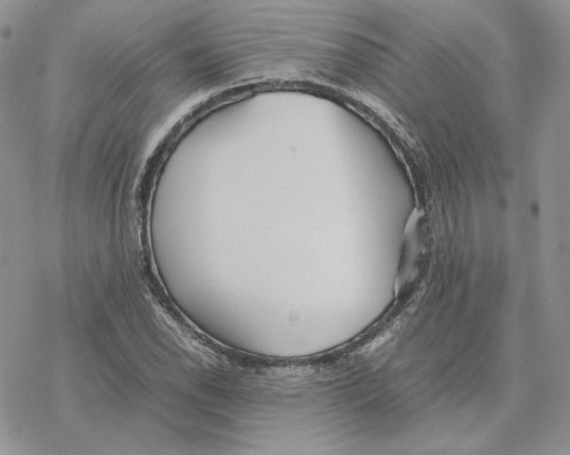 X0000077331118200611171800