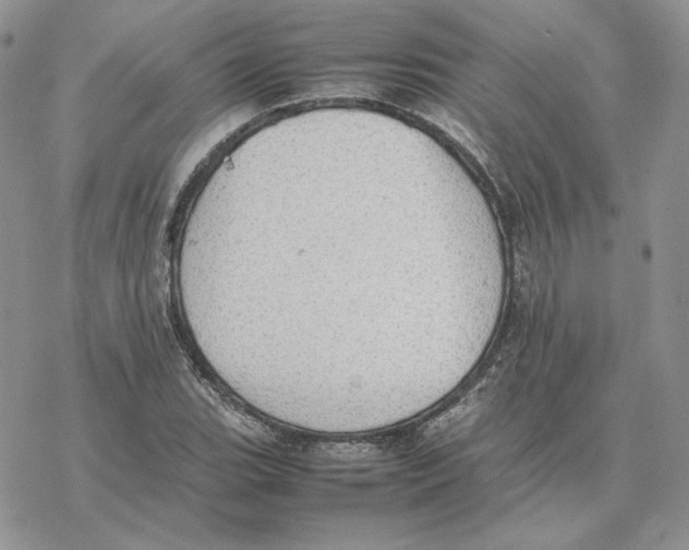 X0000077331119200611171800